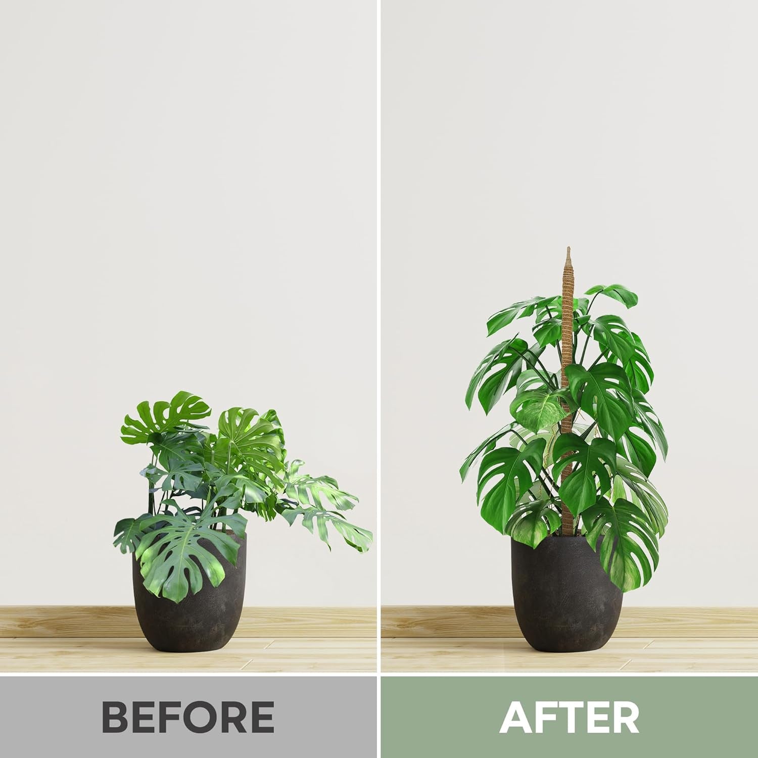 2 Pack 28'' Bendable Moss Pole Monstera Plant Support for Climbing Indoor Plants - Stakes for Potted Climbers - Tall Sticks Indoor Trellis for Houseplants - Accessories for Monstera Pot