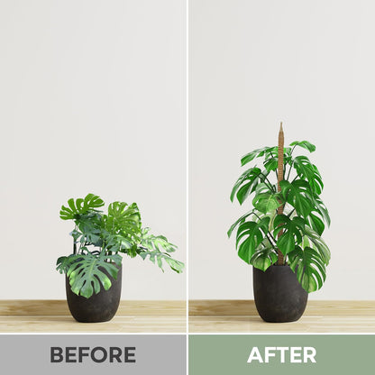 2 Pack 28'' Bendable Moss Pole Monstera Plant Support for Climbing Indoor Plants - Stakes for Potted Climbers - Tall Sticks Indoor Trellis for Houseplants - Accessories for Monstera Pot
