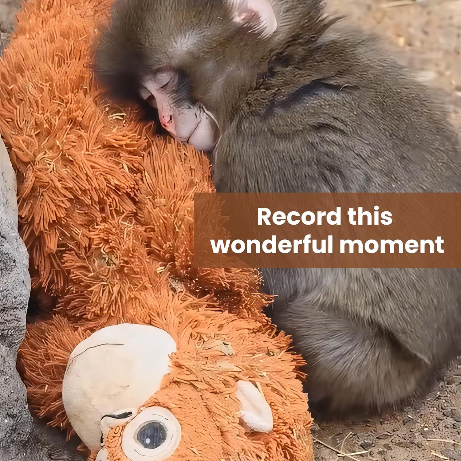 Panchi-Kun Punch Monkey Plush – 26 Inch Soft Stuffed Animal Pillow, Emotional Support Monkey, Macaque Monkey Zoo Animal Friend,Comfort Buddy Inspired by Heartwarming Stories